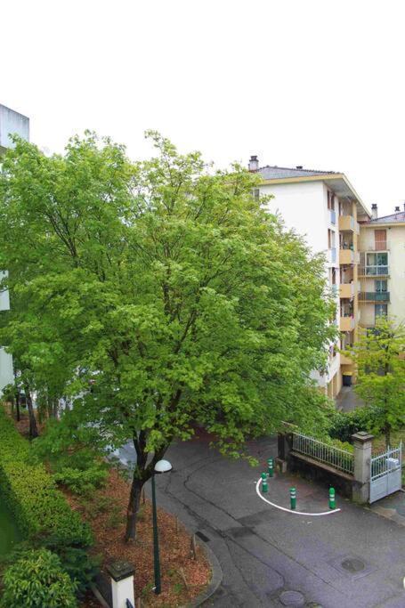Tres Beau Studio Centre Ville, Au Calme Annecy Eksteriør billede